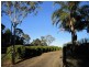 Cootharaba QLD 4565