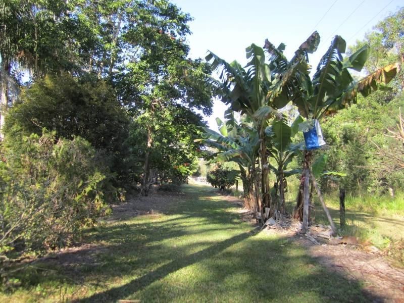 Cootharaba QLD 4565