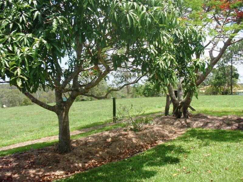 Cootharaba QLD 4565