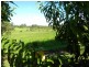 Cootharaba QLD 4565