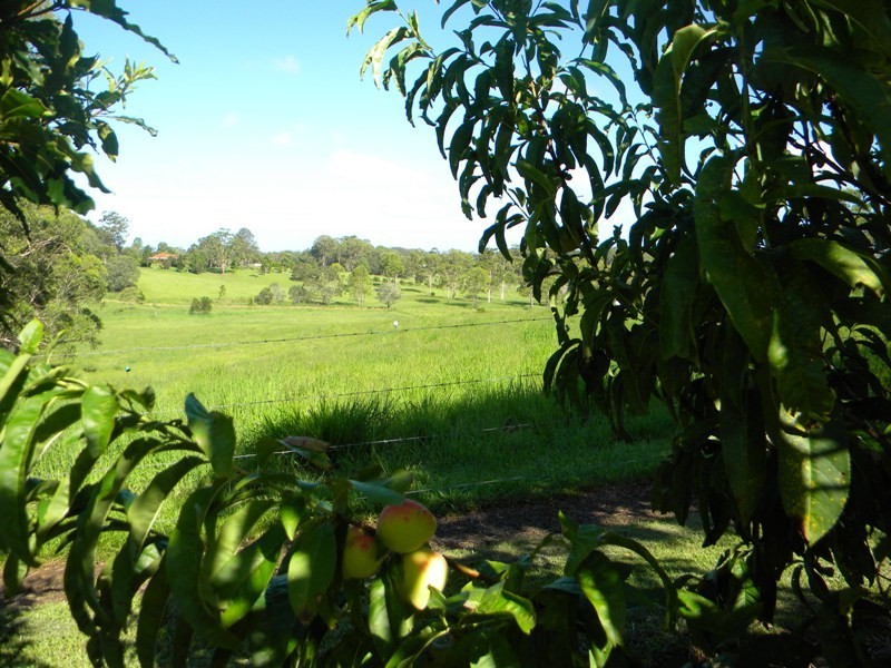 Cootharaba QLD 4565