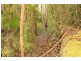 128 Kildeys Road, Cootharaba QLD 4565