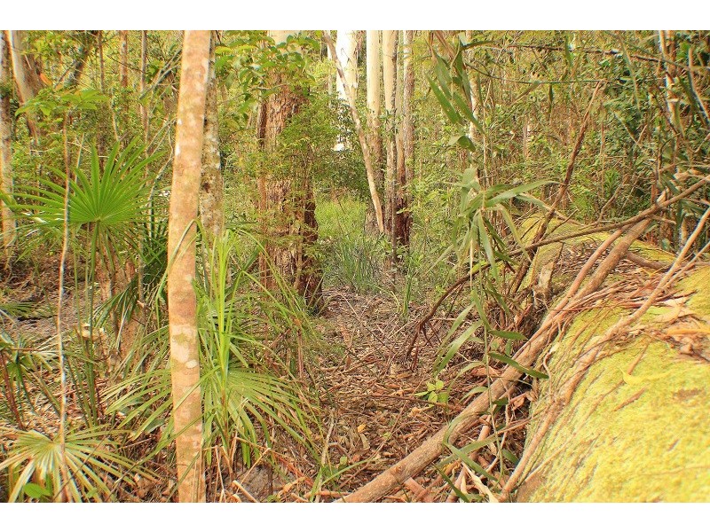 128 Kildeys Road, Cootharaba QLD 4565