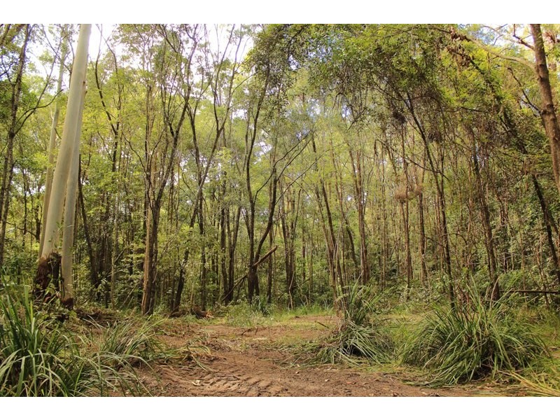 136 Kildeys Road, Cootharaba QLD 4565