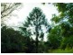 Kin Kin QLD 4571