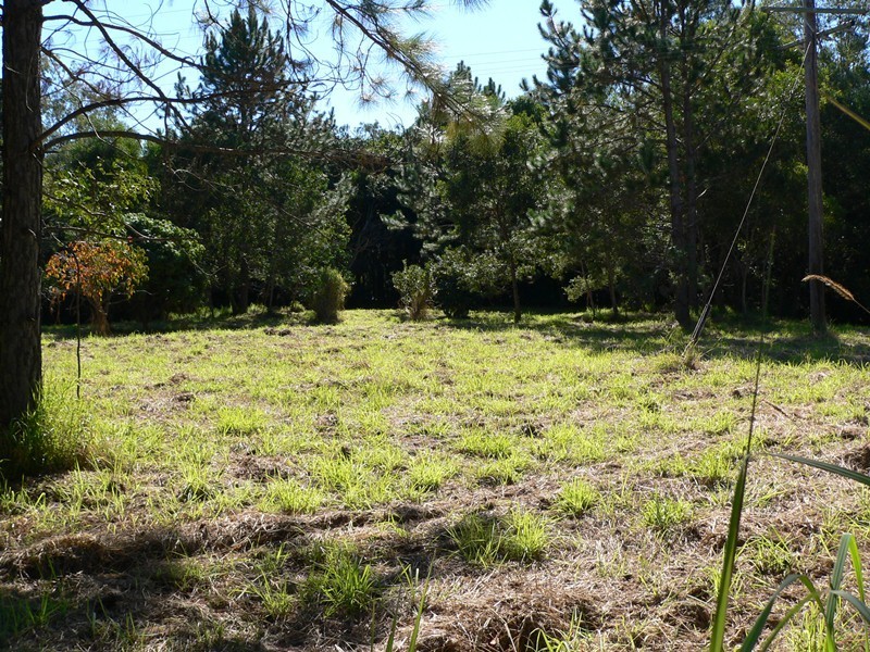 Cooran QLD 4569