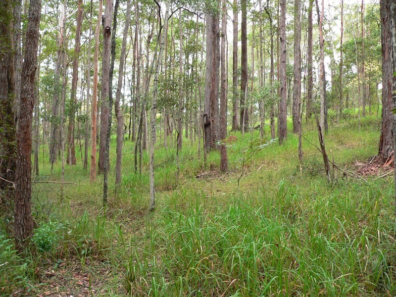 Pomona QLD 4568
