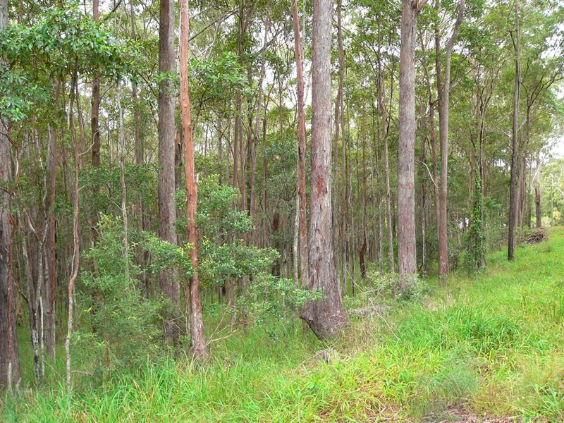 Pomona QLD 4568
