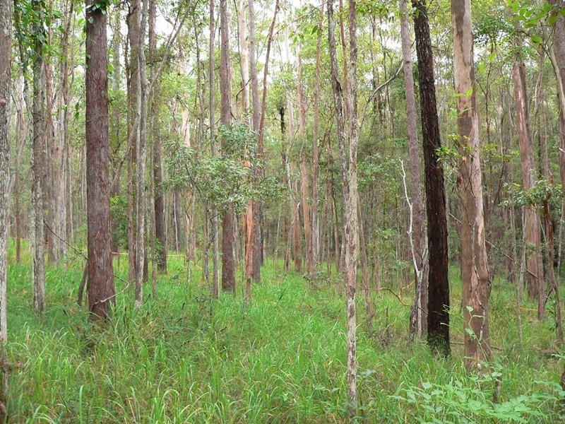 Pomona QLD 4568
