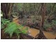 Pomona QLD 4568