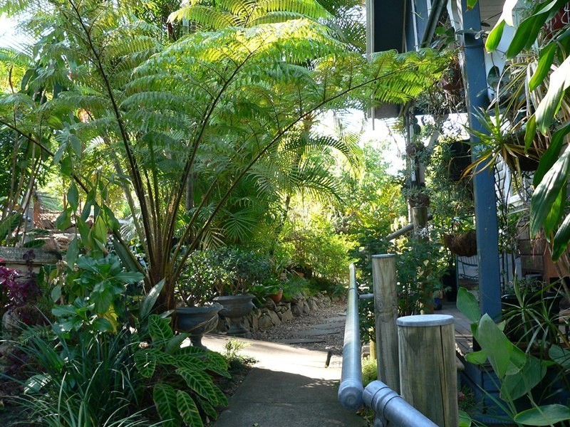 20 Edward Street, Cooran QLD 4569