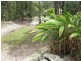 Lake Macdonald QLD 4563