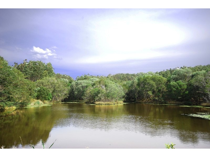 121 Buckley Road, Kin Kin QLD 4571