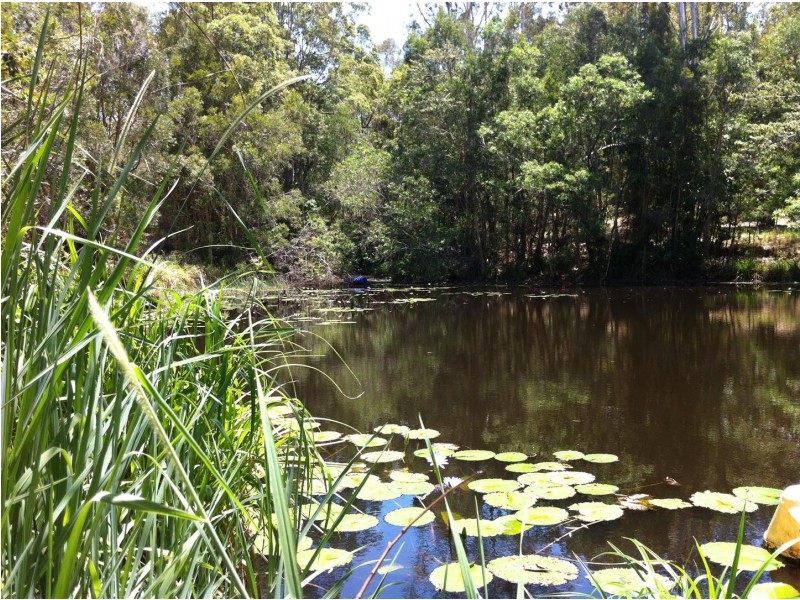 96 Buckley Road, Kin Kin QLD 4571