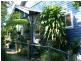 20 Edward Street, Cooran QLD 4569