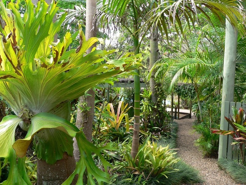 12 Drovers Court, Pomona QLD 4568