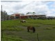 319 Hyland Road, East Deep Creek QLD 4570