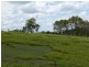 319 Hyland Road, East Deep Creek QLD 4570