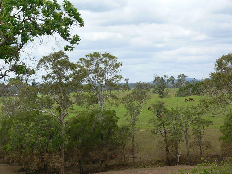 2 Holding Road, The Dawn QLD 4570