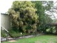 29 Rectory Street, Pomona QLD 4568