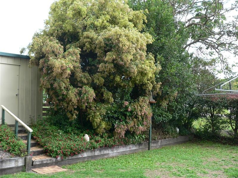 29 Rectory Street, Pomona QLD 4568