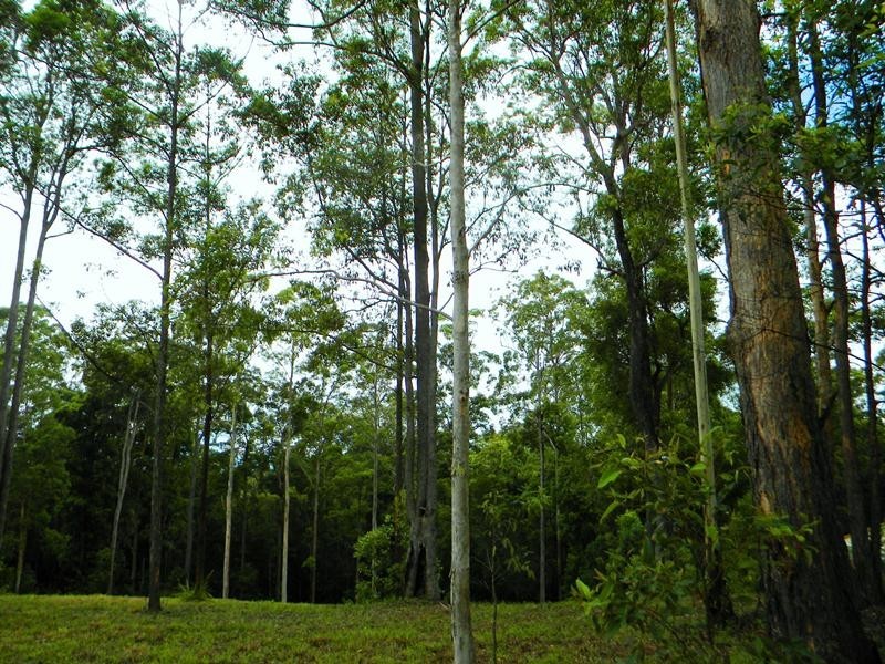 89 Highfield Rise, Pomona QLD 4568