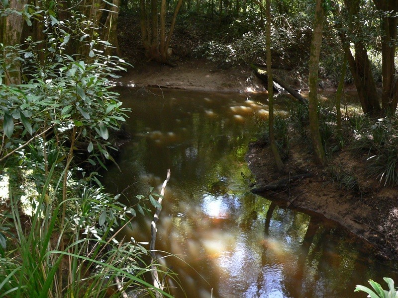 299 Louis Bazzo Drive, Pomona QLD 4568