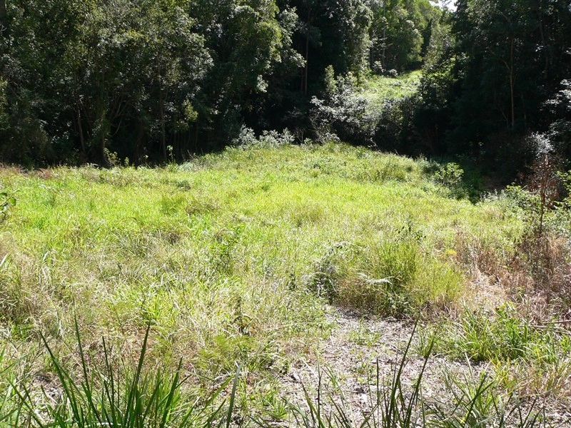 299 Louis Bazzo Drive, Pomona QLD 4568