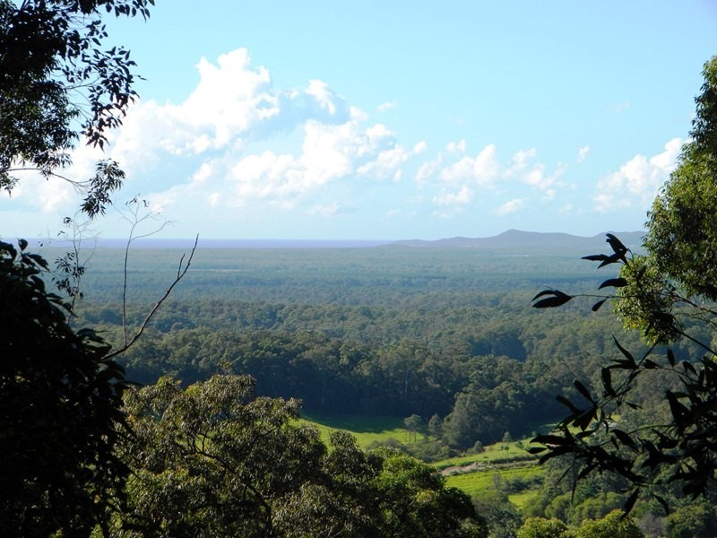 264 Cootharaba Road, Cootharaba QLD 4565