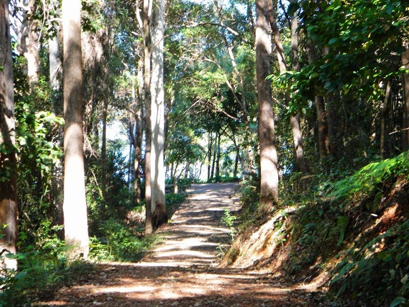 264 Cootharaba Road, Cootharaba QLD 4565