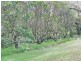 68 Coles Creek Road, Cooran QLD 4569