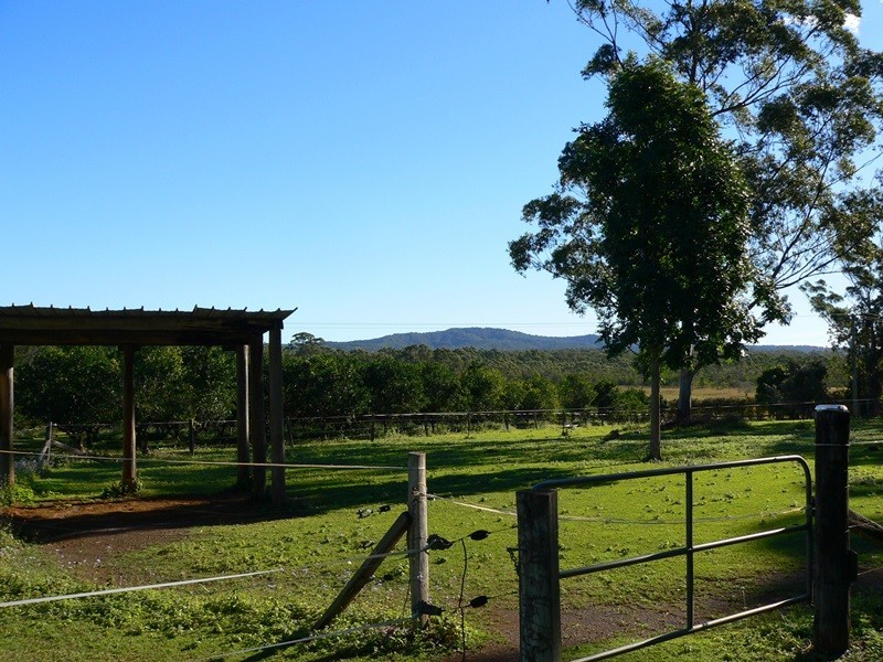 142 Cootharaba Downs Road, Cootharaba QLD 4565