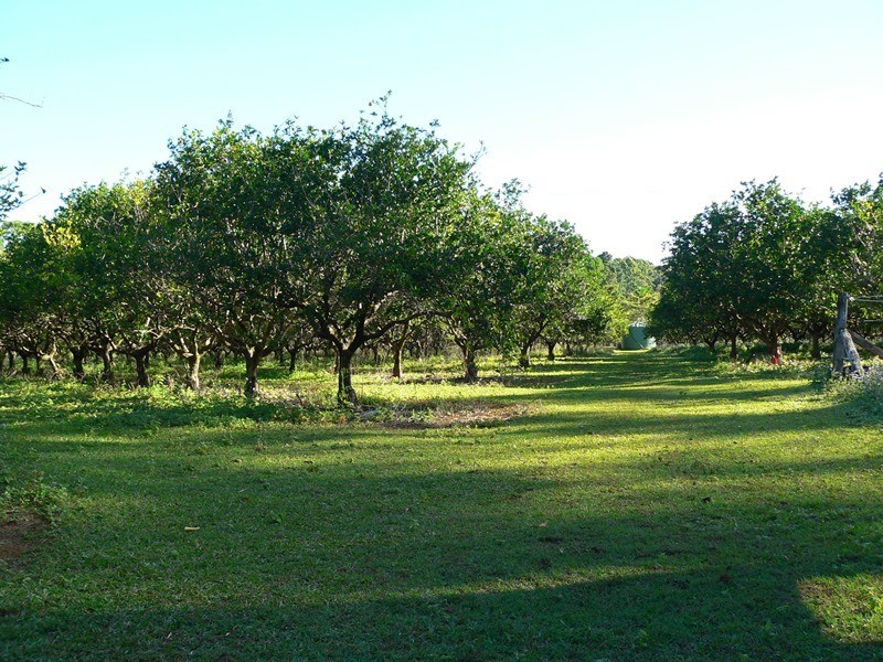 142 Cootharaba Downs Road, Cootharaba QLD 4565