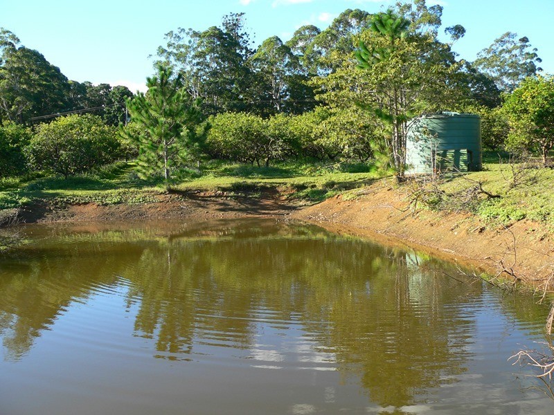 142 Cootharaba Downs Road, Cootharaba QLD 4565