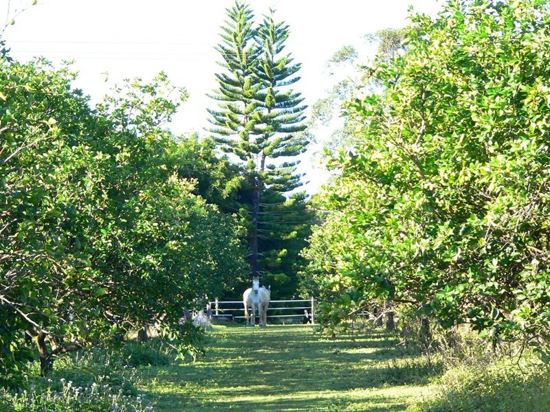 142 Cootharaba Downs Road, Cootharaba QLD 4565