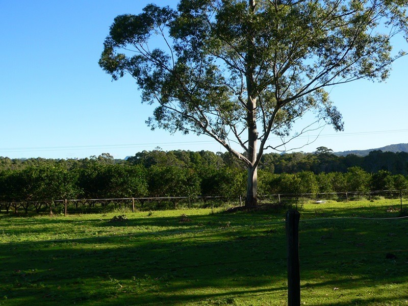 142 Cootharaba Downs Road, Cootharaba QLD 4565