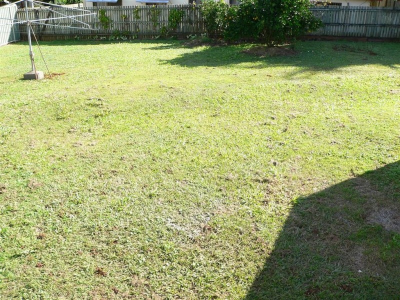 Cooran QLD 4569