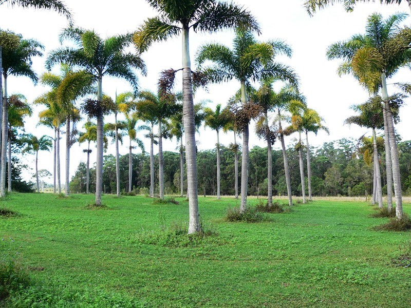 368 Kinmond Creek Road, Cootharaba QLD 4565