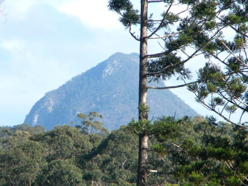 203 Lake MacDonald Drive, Cooroy QLD 4563