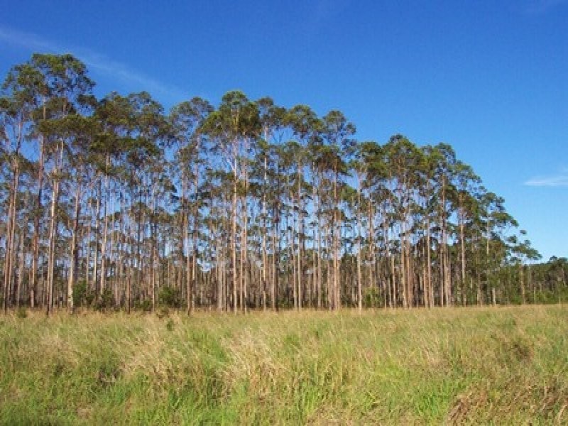 32 Cootharaba Downs Road, Cootharaba QLD 4565