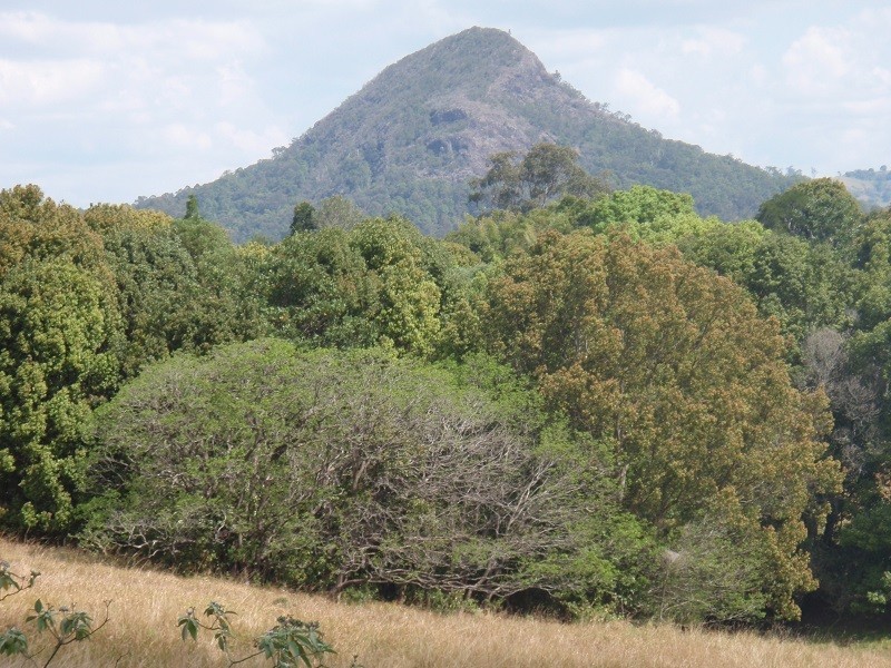 249 Tablelands Road, Cooran QLD 4569