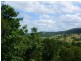 236 Noakes Road, Traveston QLD 4570