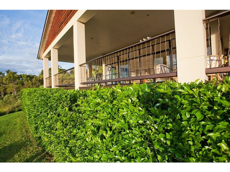 236 Noakes Road, Traveston QLD 4570