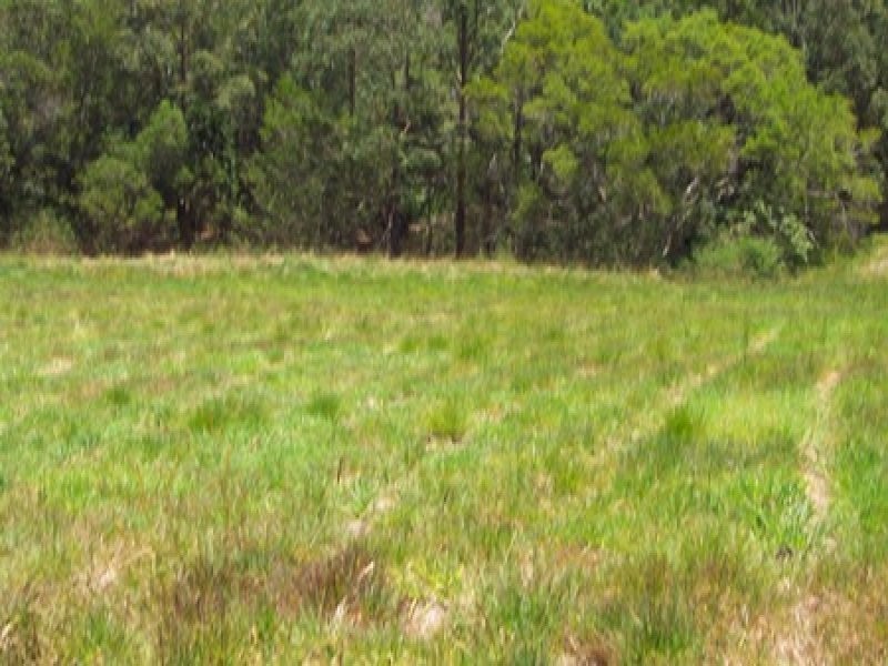 15 Risley Court, Cooran QLD 4569