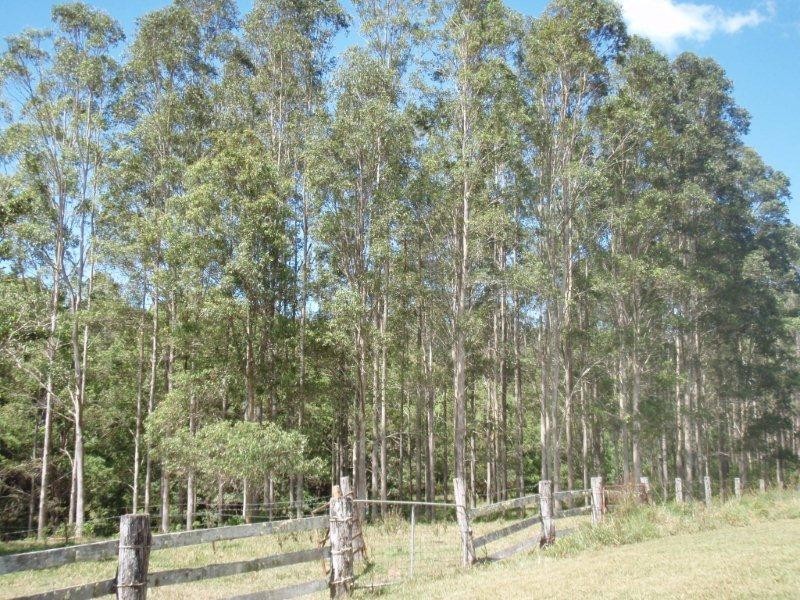 69 Murrays Road, Kin Kin QLD 4571