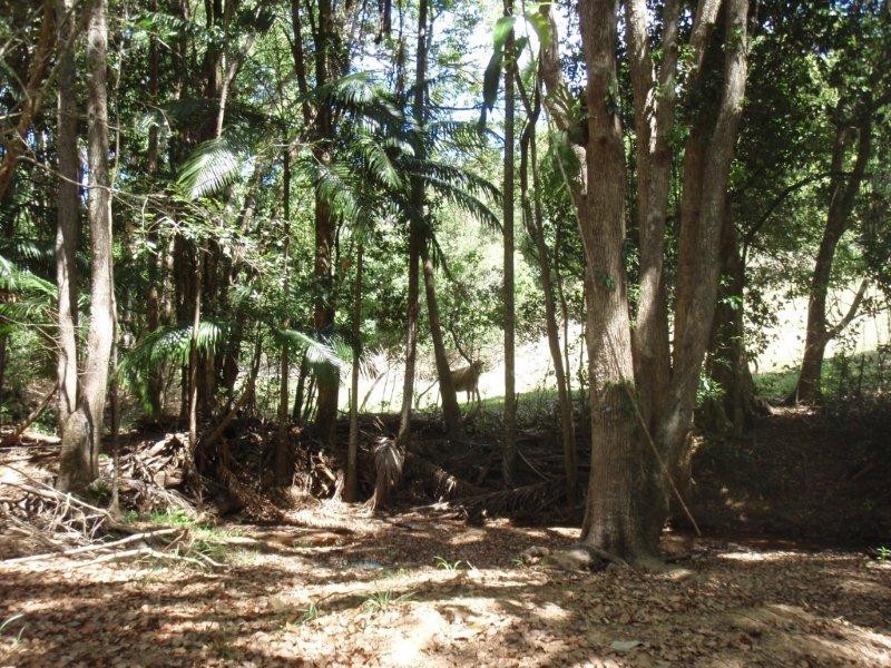 69 Murrays Road, Kin Kin QLD 4571