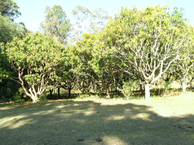 Cootharaba QLD 4565