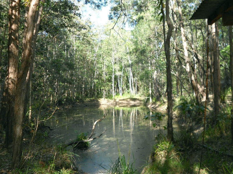 Cootharaba QLD 4565