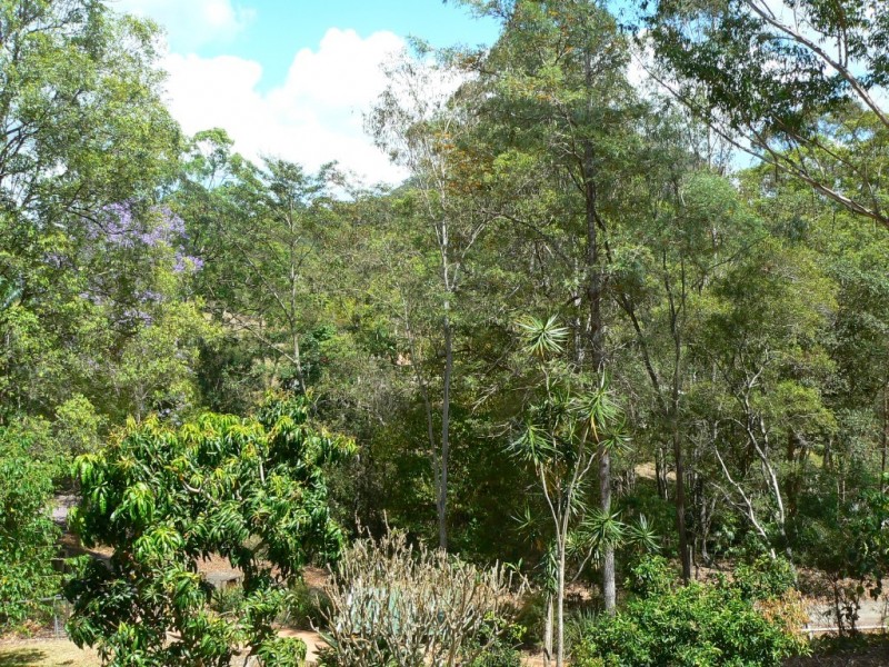 Cooran QLD 4569