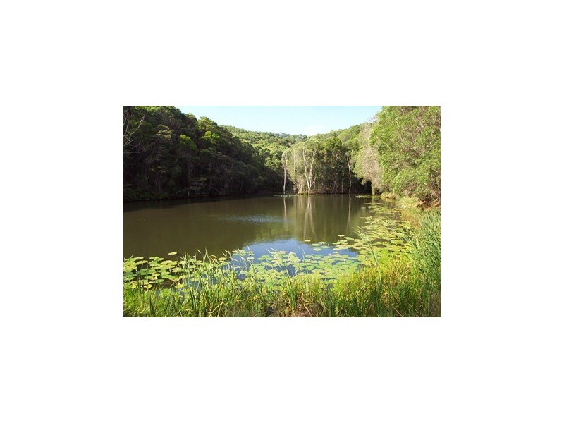170 Blanckensee Road, Black Mountain QLD 4563